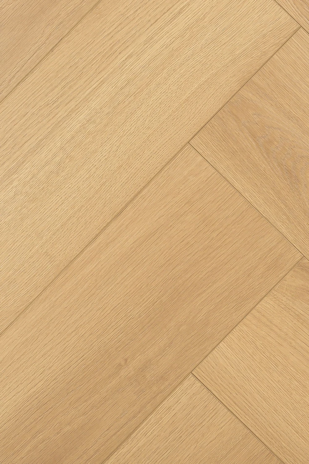 Дуб Атриум | Atrium oak 1F409