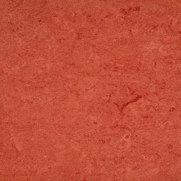 125-008 chestnut