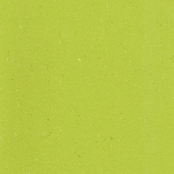 131-132 lime green