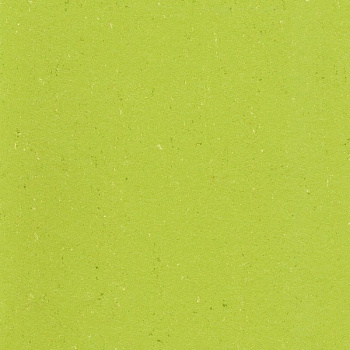 137-132 lime green