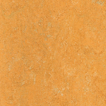 121-173 melon orange