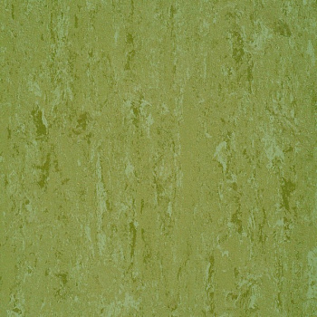 151-011 avocado green