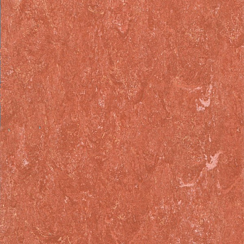 125-115 rusty orange