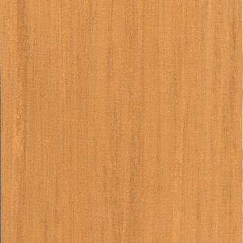 365-062 beech brown